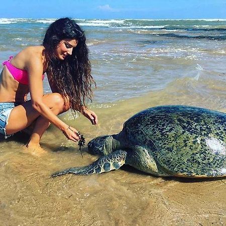 Turtle Bay Hotel Hikkaduwa Luaran gambar