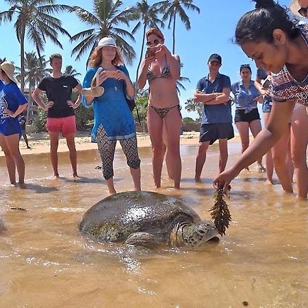 Turtle Bay Hotel Hikkaduwa Luaran gambar