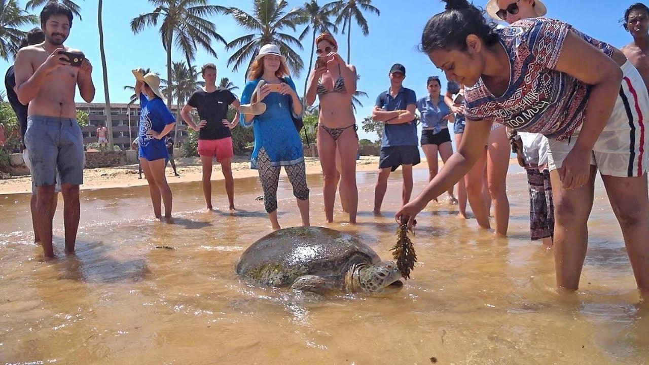 Turtle Bay Hotel Hikkaduwa Luaran gambar